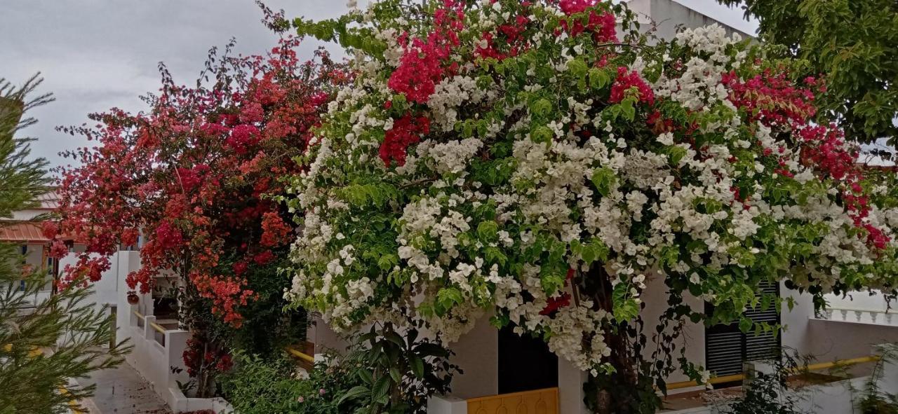 Le Boucanier Tavira