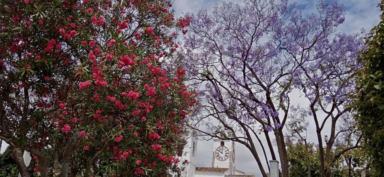 Le Boucanier * Tavira