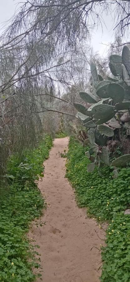 Le Boucanier Tavira