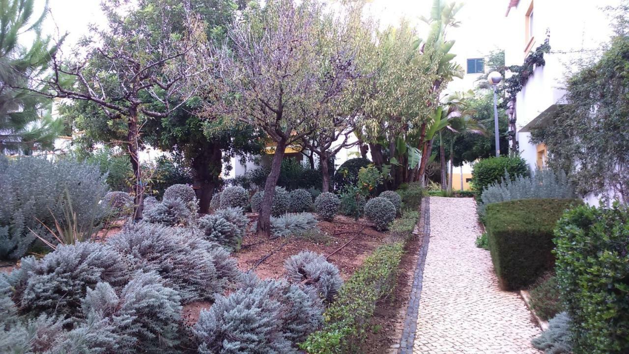 Apartment Le Boucanier
